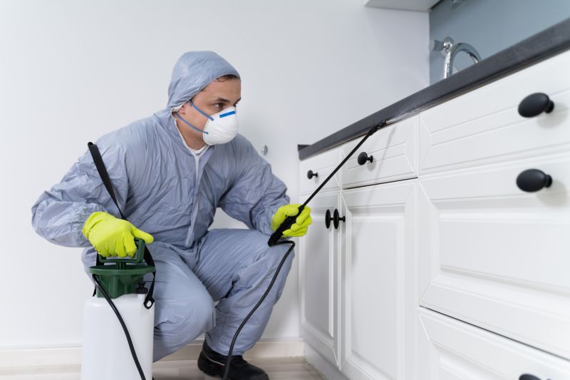Mites Extermination in Katy, TX