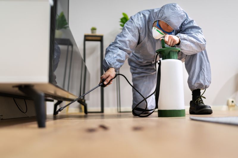 Pest Extermination Service in Frisco, TX
